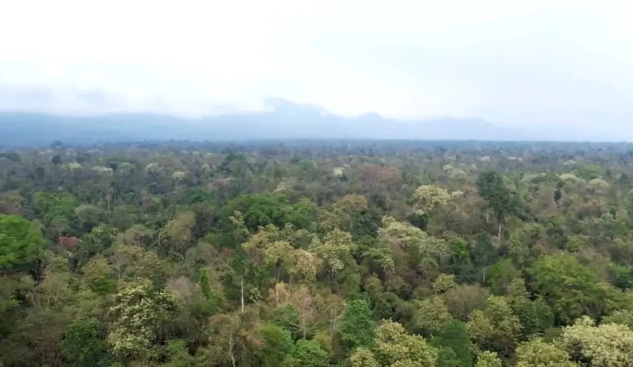 Assam: Behali Forest Reserve Granted Wildlife Sanctuary Status