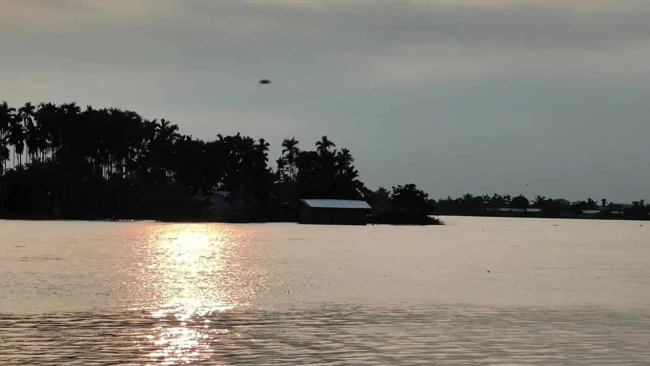 Assam Floods: 40 Highlands Constructed to Provide Shelter to Animals