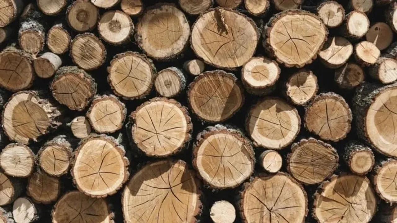 Assam: White Sandalwood Logs Worth Crores Seized In Dabaka, 3 Held