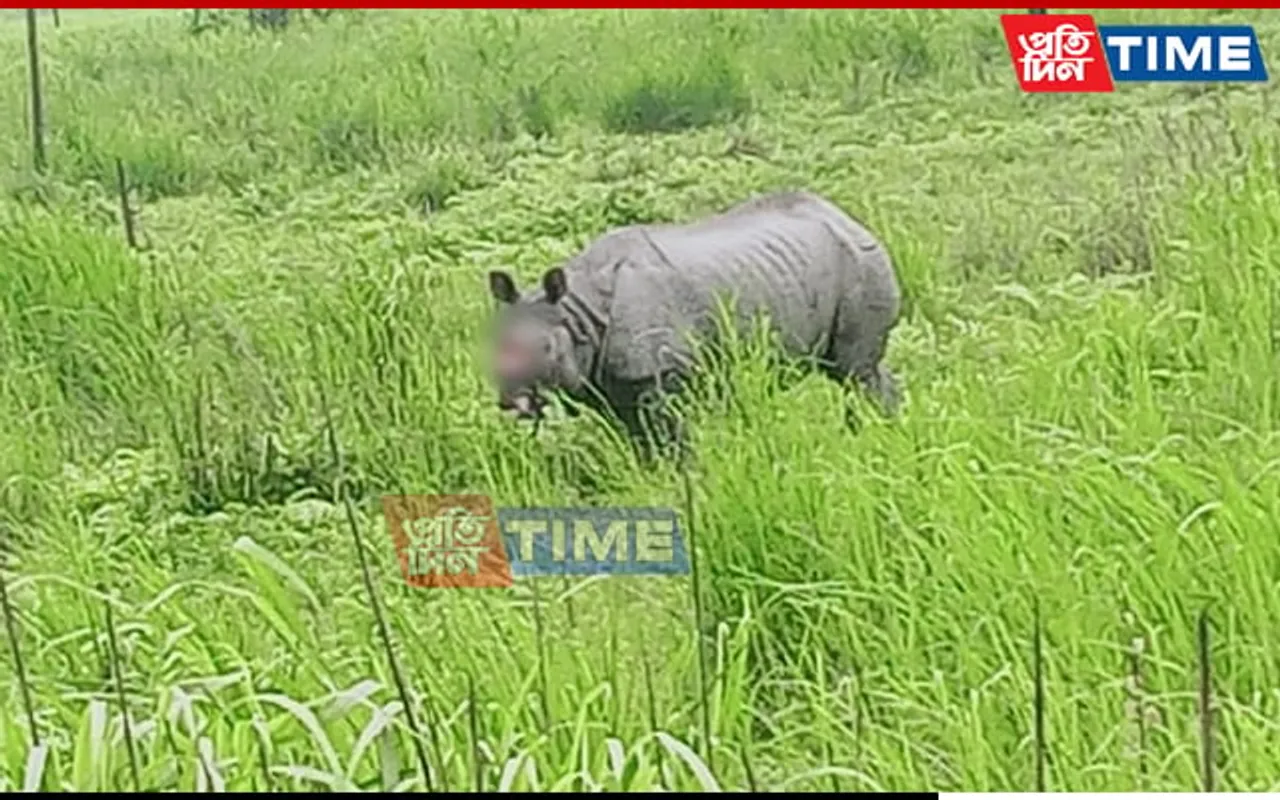Assam Police Announce Rs 2 Lakh Reward For Info On Unknown Poacher