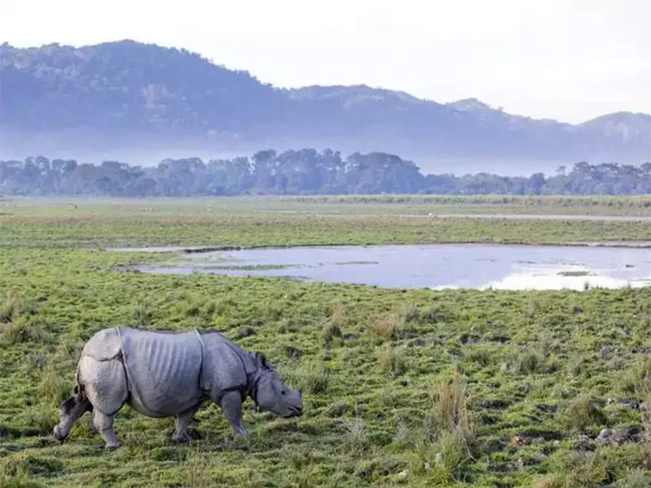 Kaziranga National Park to Reopen for tourists from Oct 15