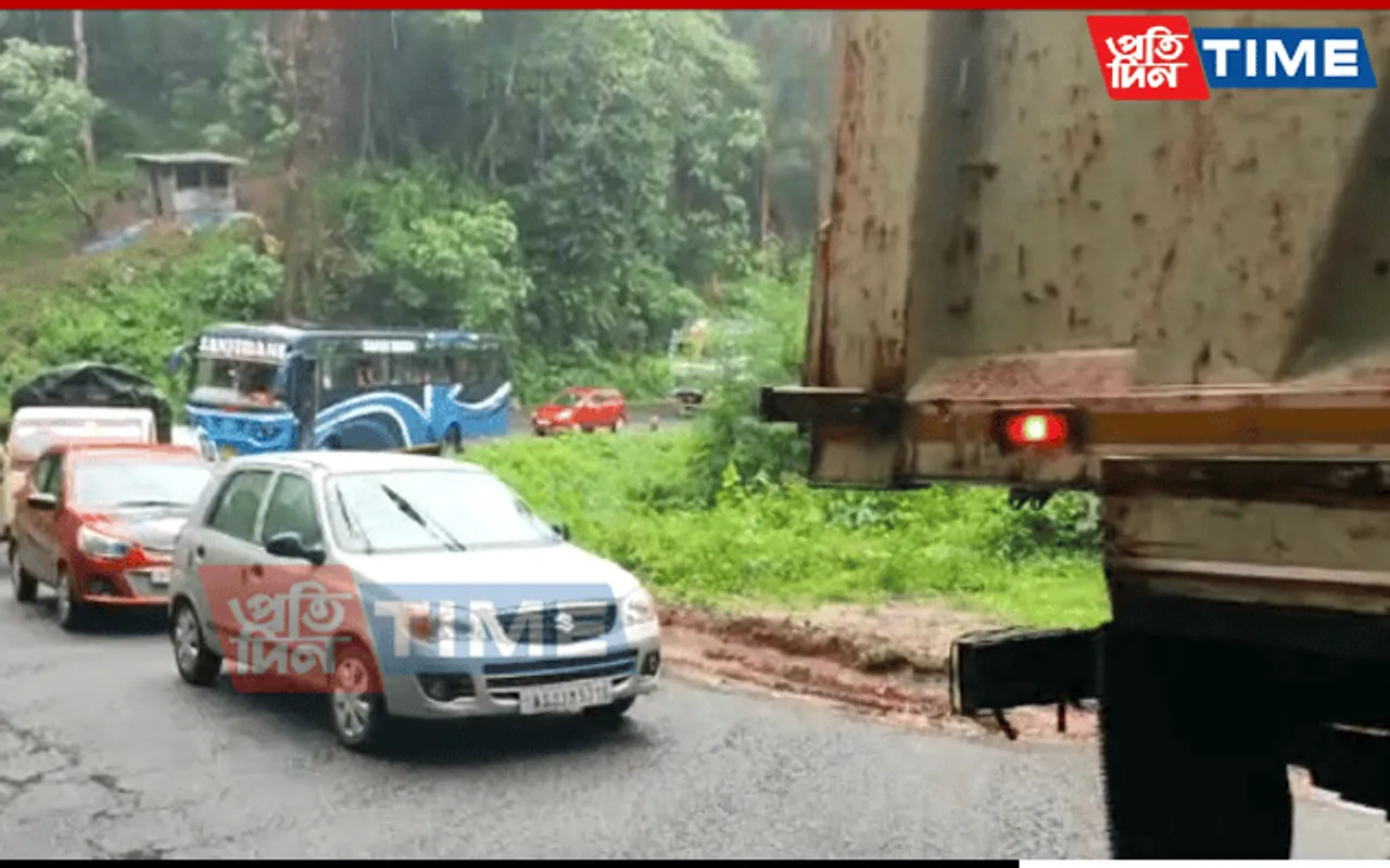 Assam: Massive Tree Falls On NH-37 In Kaliabor, Blocks Traffic