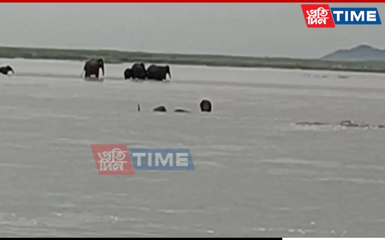 In Photos: Flood Situation Worsens in Assam 