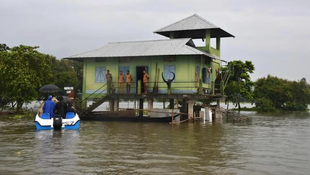 Assam: 44 Anti-Poaching Camps at Kaziranga Submerged Under Water