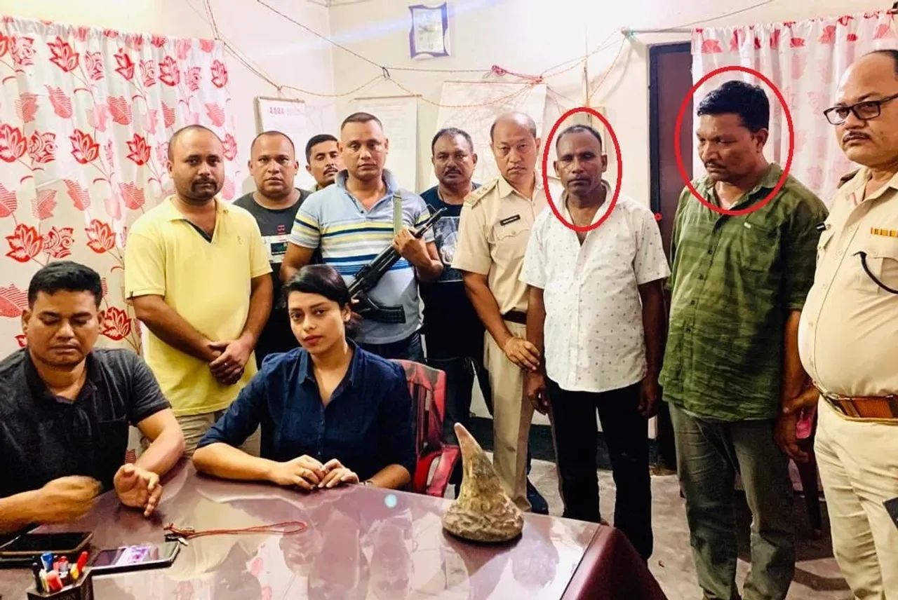 Assam: Rhino Horn Seized In Titabor, 2 Smugglers Held