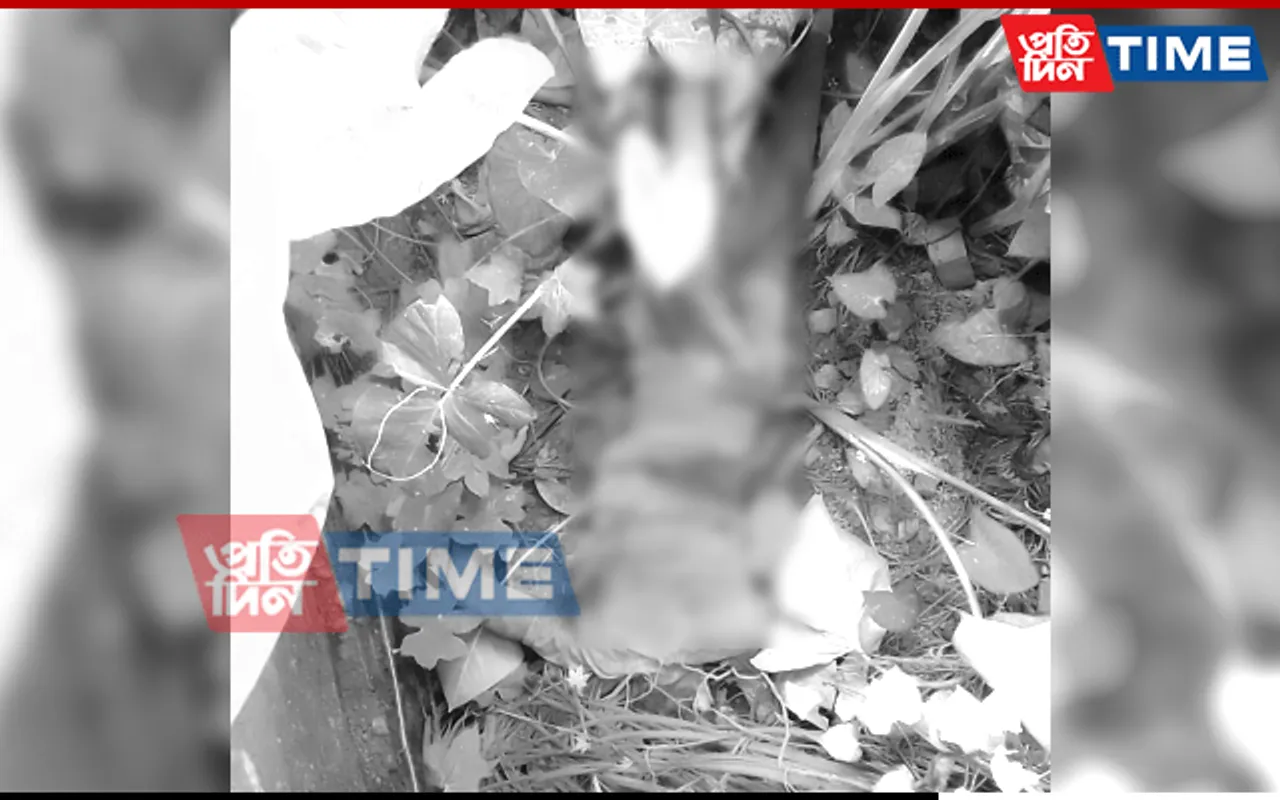 BREAKING: Unidentified Body Found In Guwahati's Panjabari