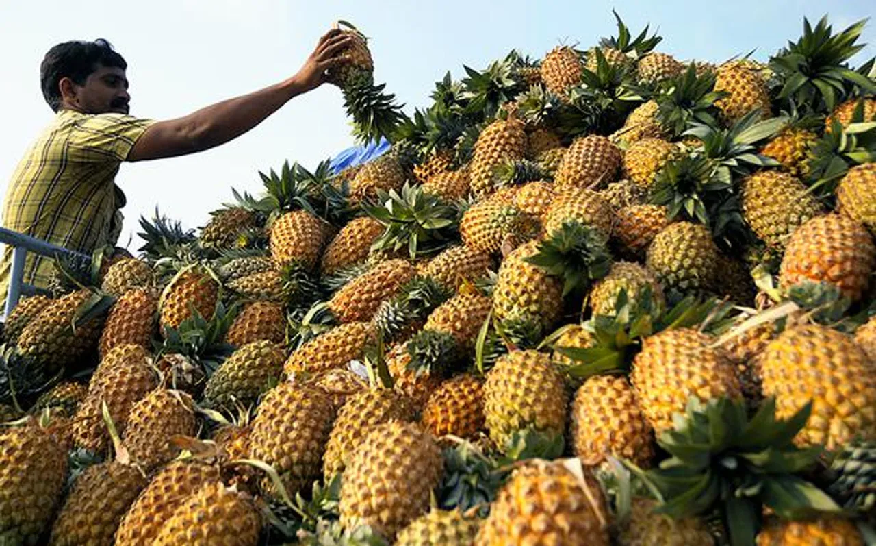Mizoram Exports State Grown Pineapples to Dubai