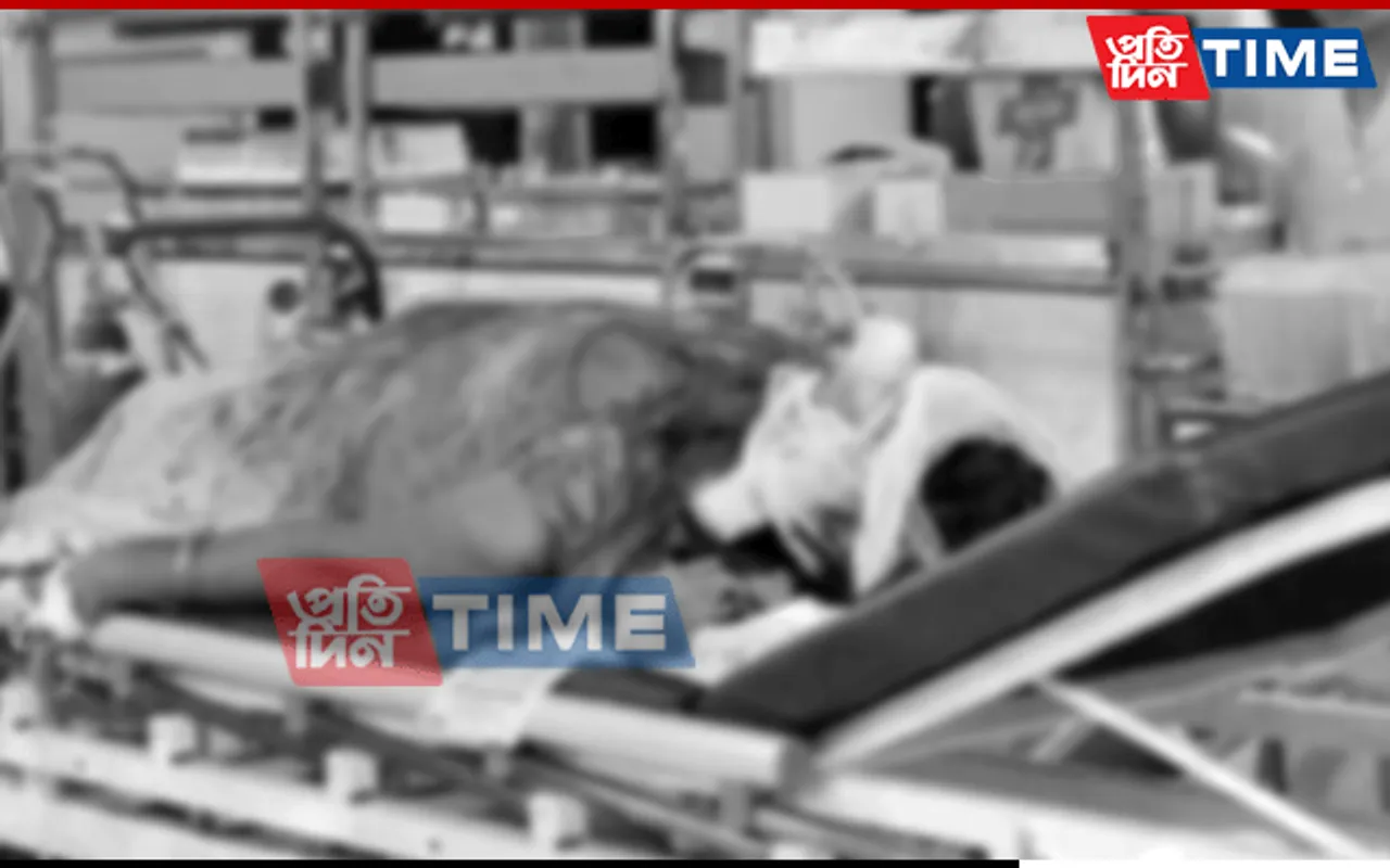 Guwahati: Woman Hospitalised After Attempted Murder In Garigaon