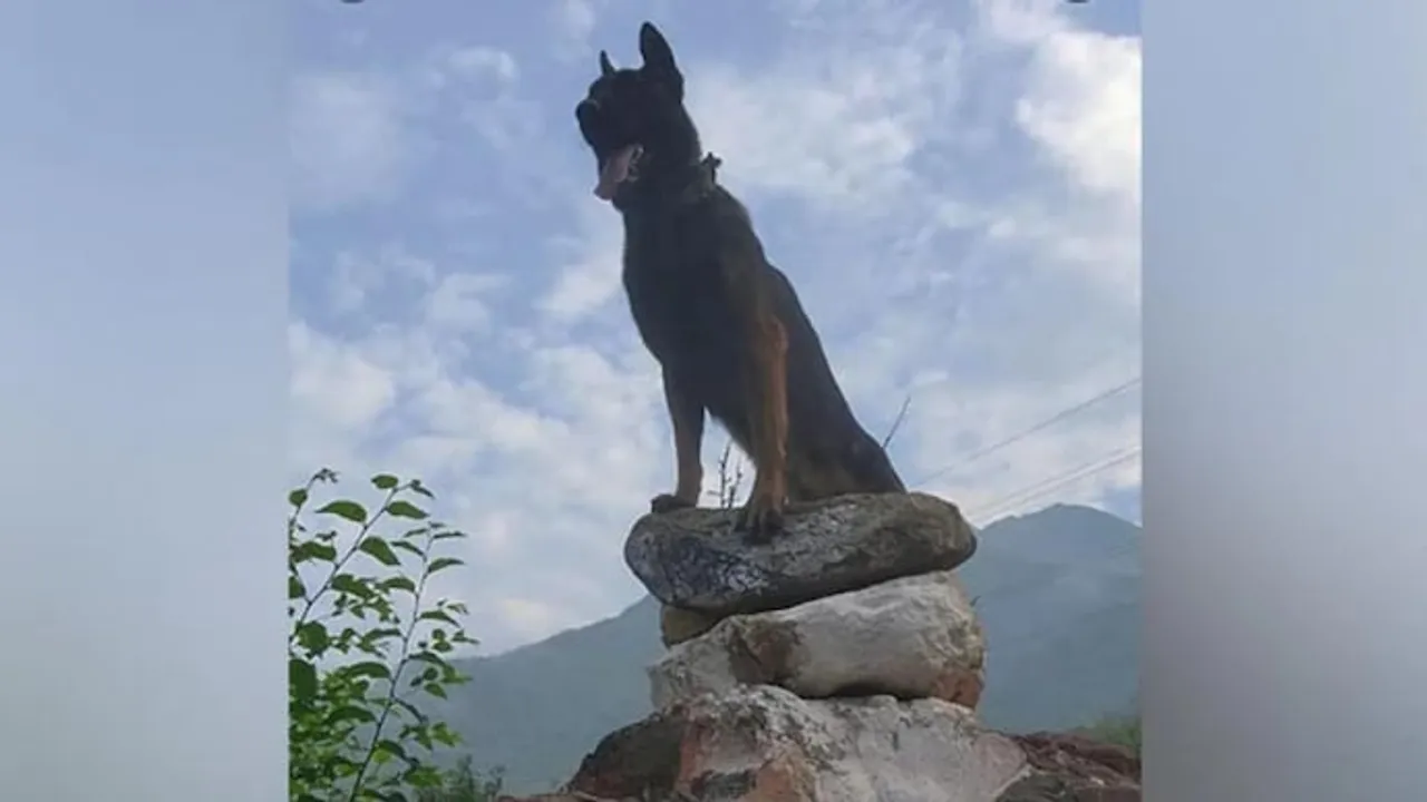 Indian Army Dog ‘Zoom’ Succumbs to Bullet Injury