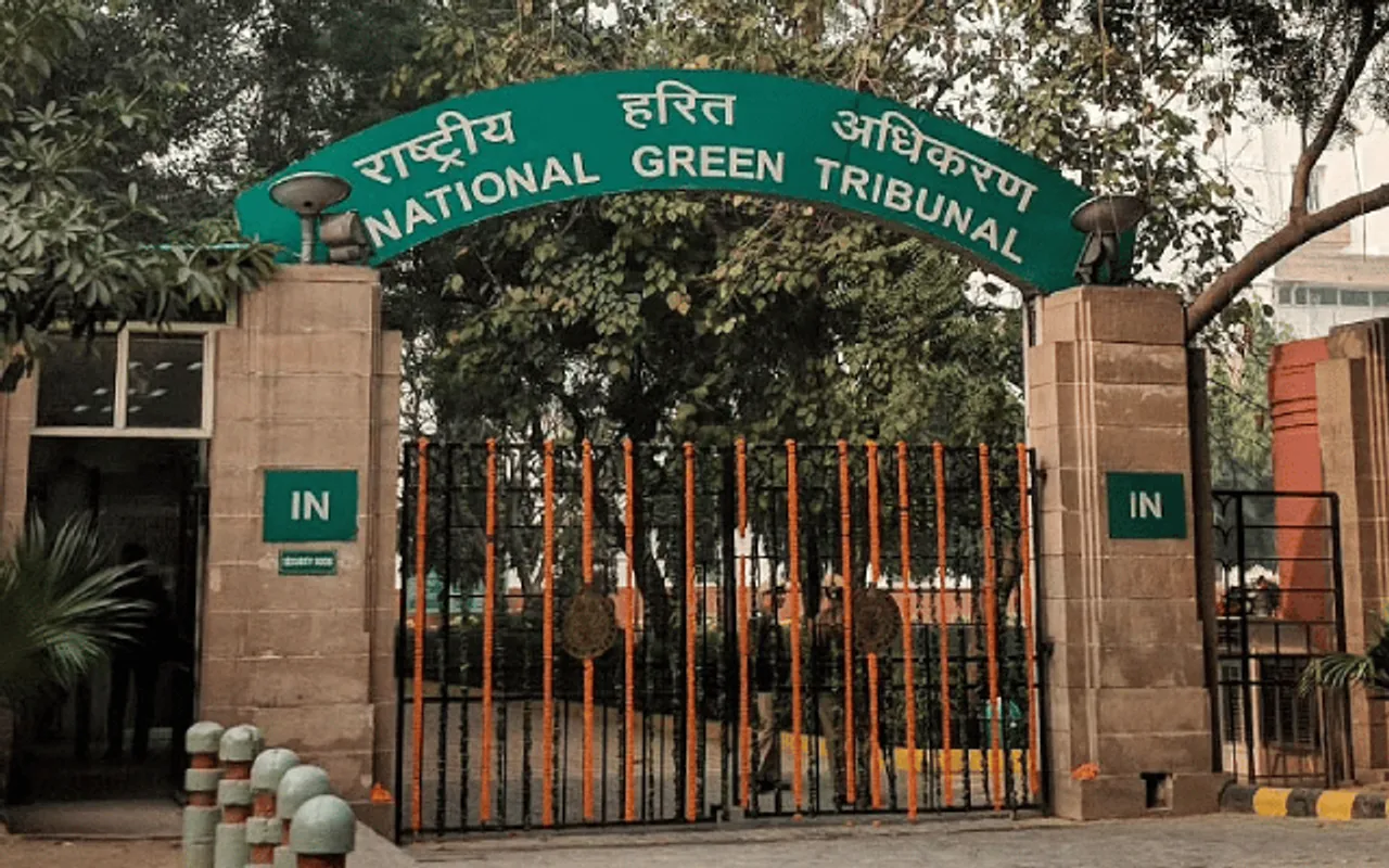 3-Member Committee Formed To Find Culprits Behind Illegal Cutting Of 6,000 Trees