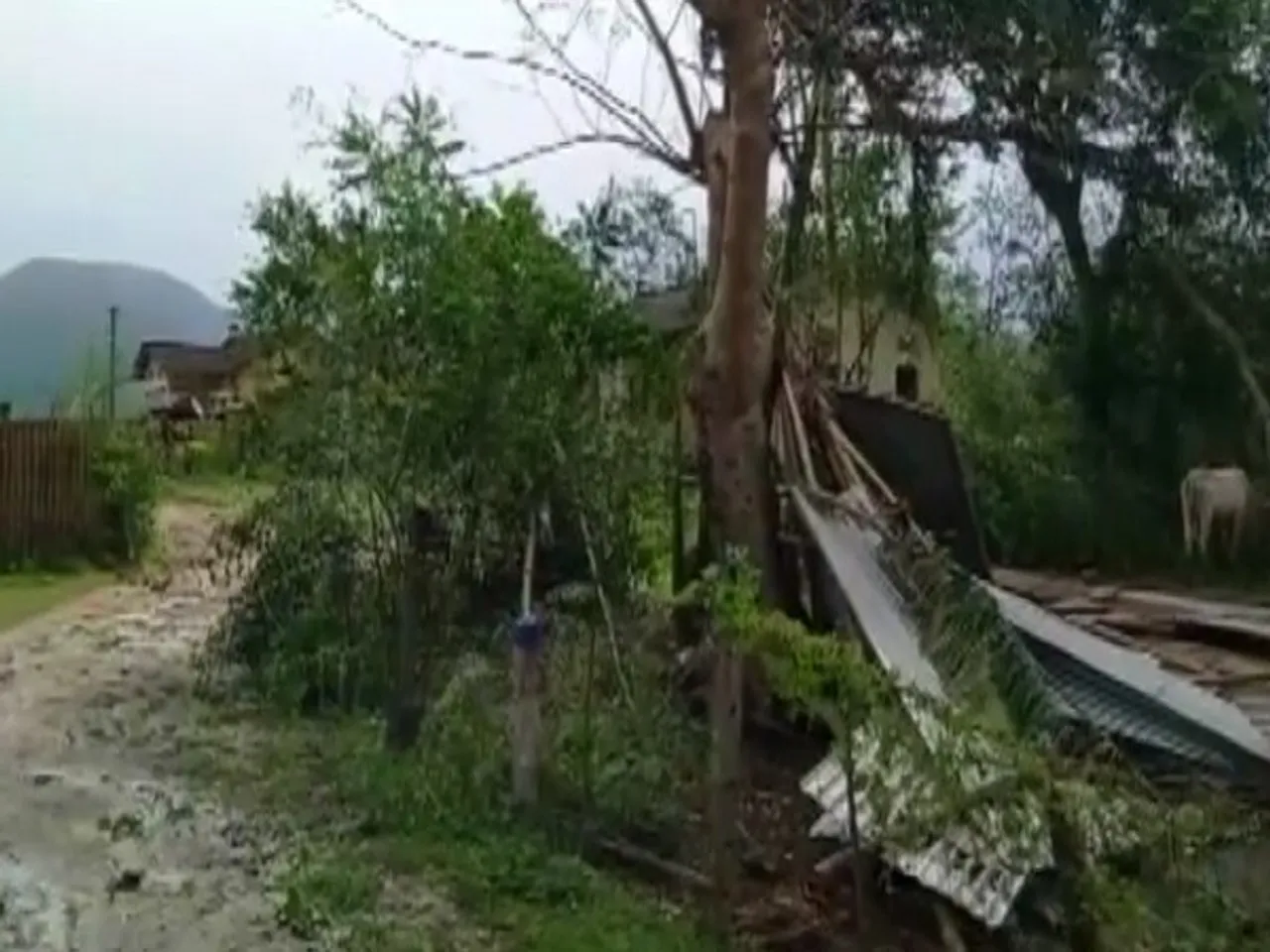 Cyclone Sitrang: Over 1000 People of 83 Villages Affected in Assam