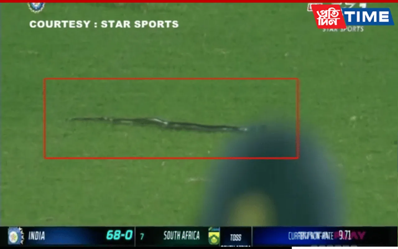 Ind v SA 2nd T20: Snake Enters Field To Stop Play Briefly In Guwahati