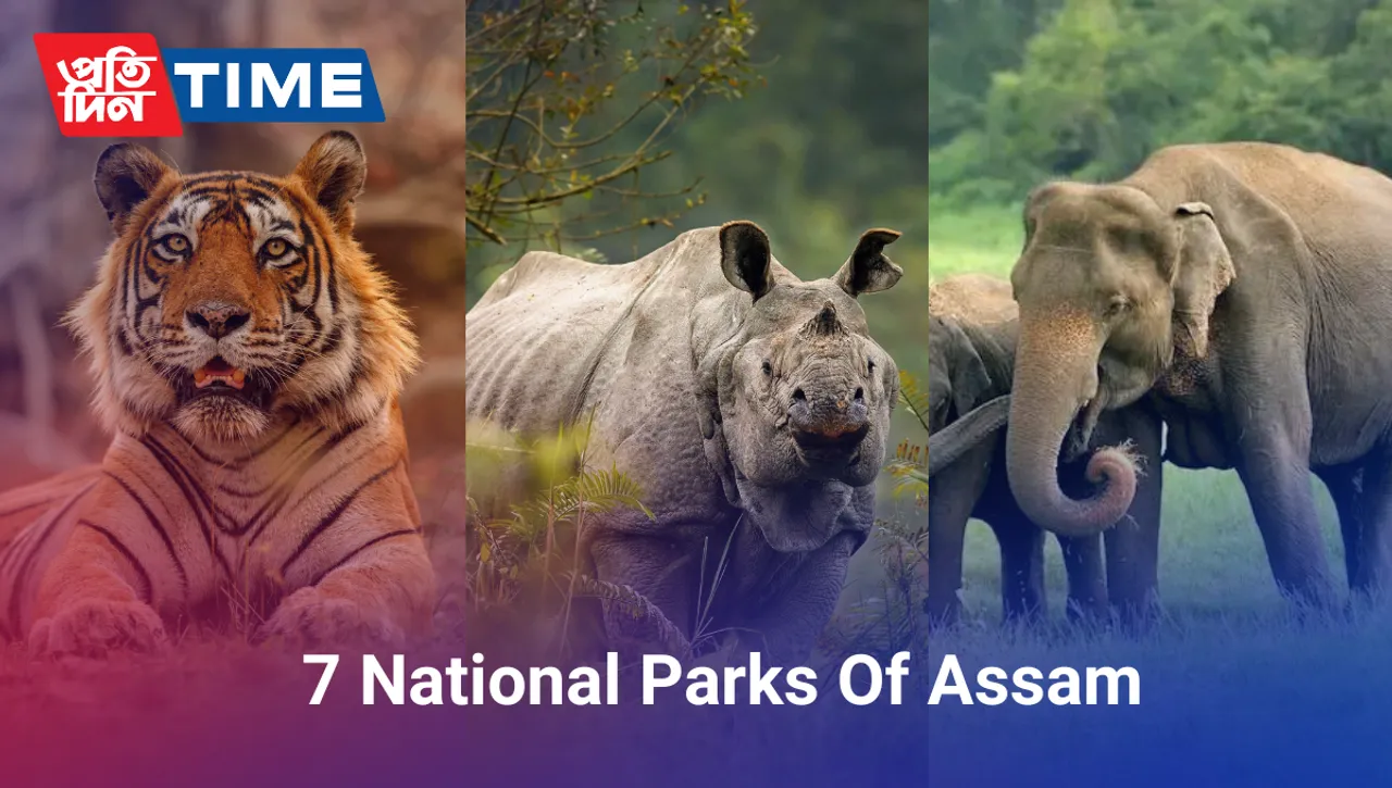7 National Parks Of Assam To Shortlist For The Next Holiday