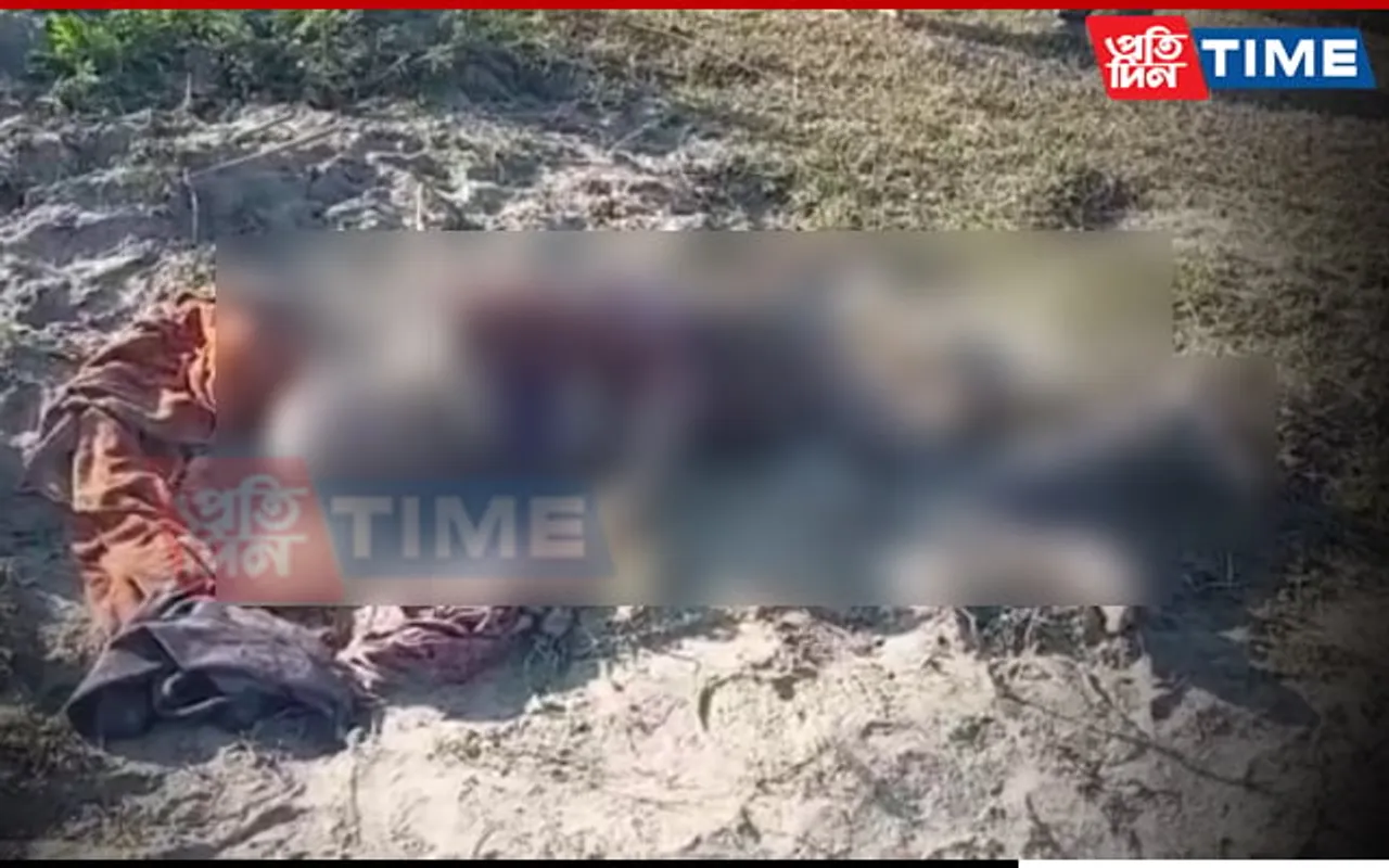 Assam: One Person Killed in Rhino Attack in Bokakhat