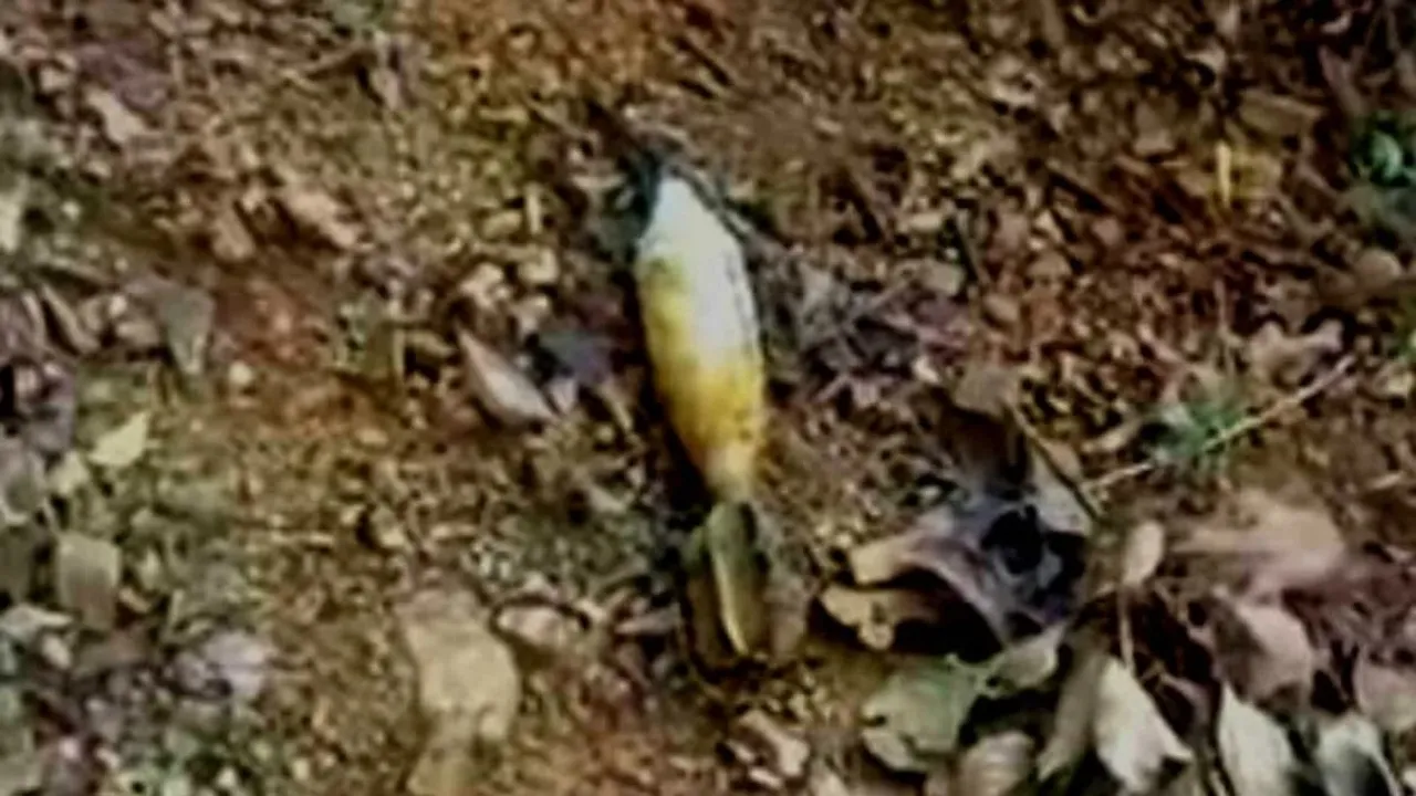Aerial Bomb Recovered at Manipur's Thoubal