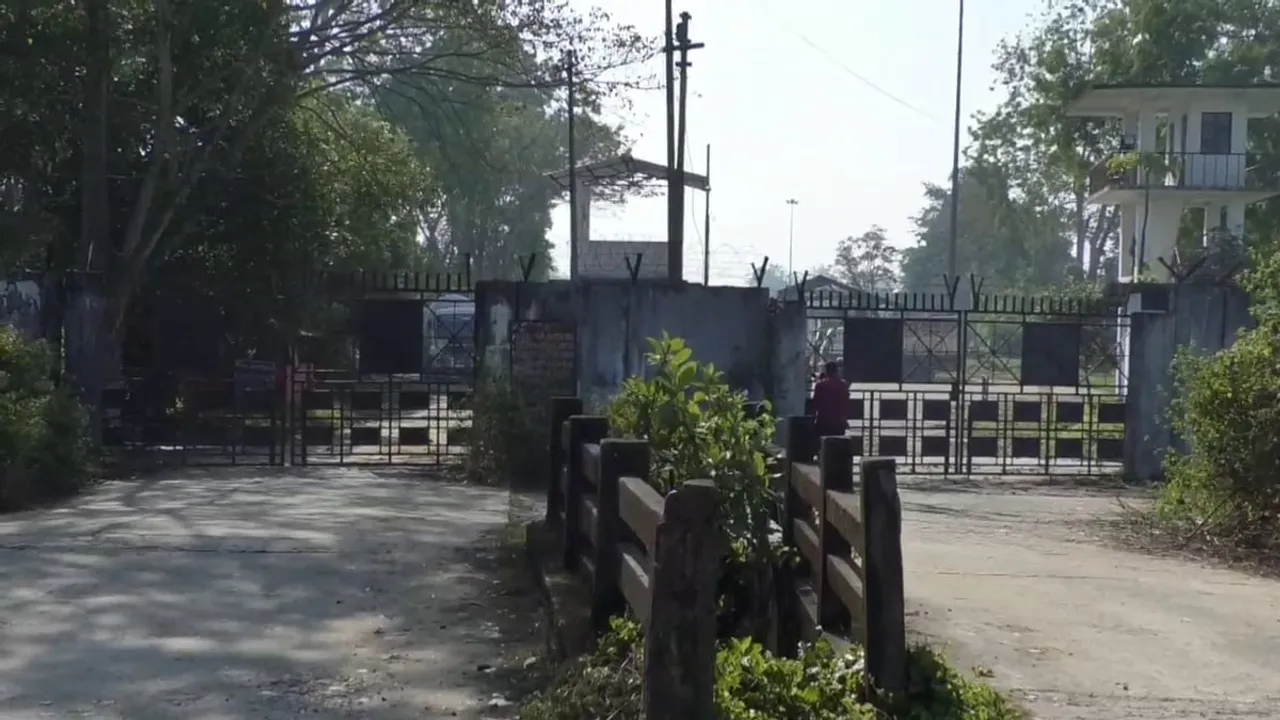 Assam: Residents Panic as Two Leopards Stray Inside OIL Township at Duliajan