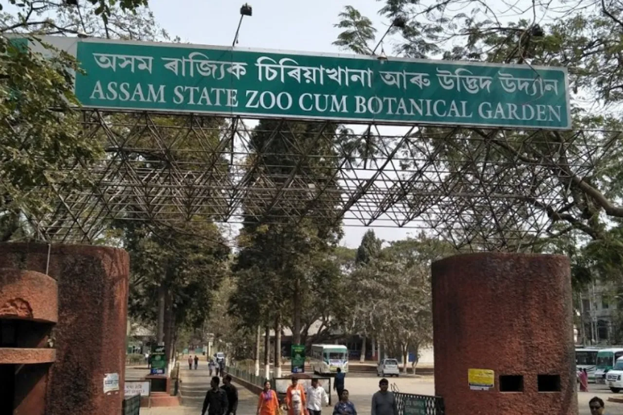Guwahati: Heaters Installed To Keep Animals Warm at Zoo