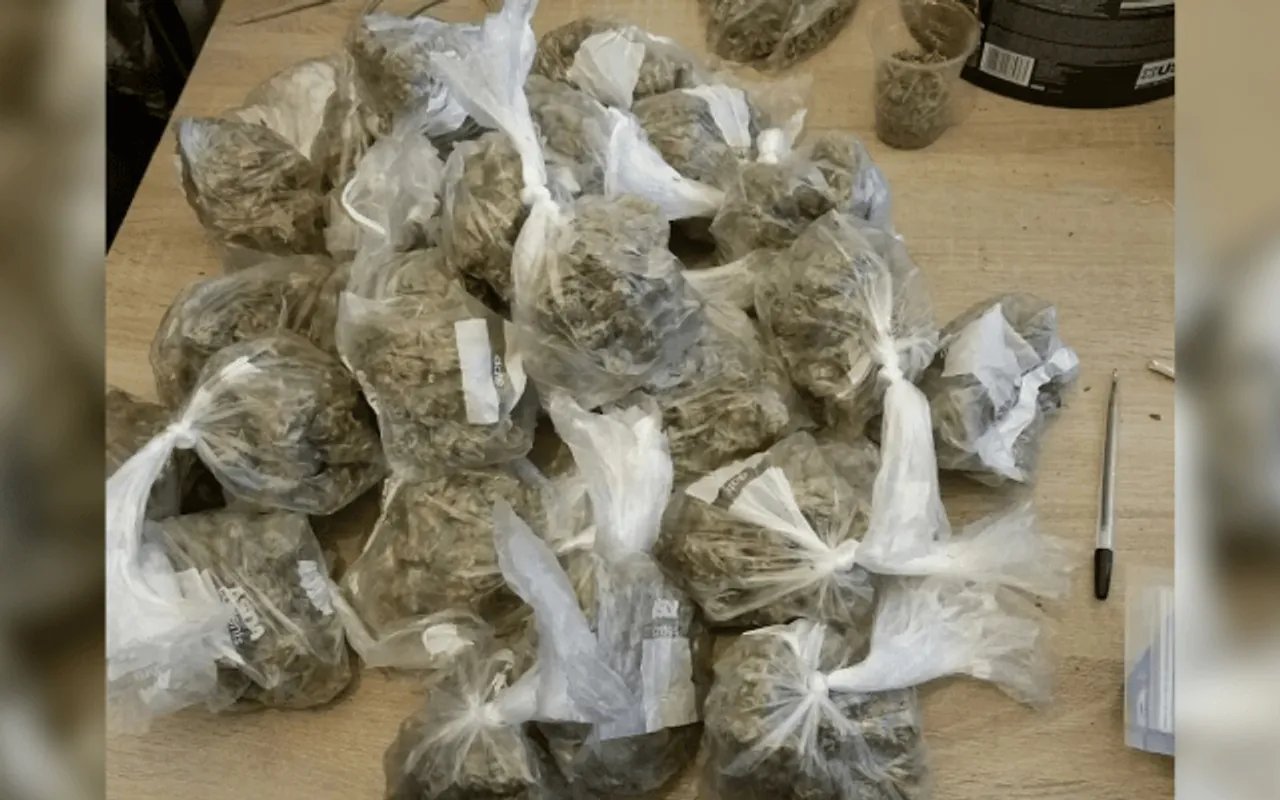 Guwahati: Cannabis Worth Over 20 Lakhs Seized