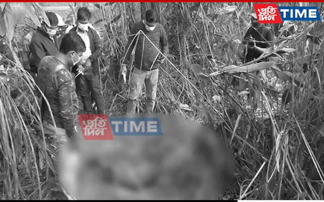 Assam: Royal Bengal Tiger Found Dead in Orang National Park