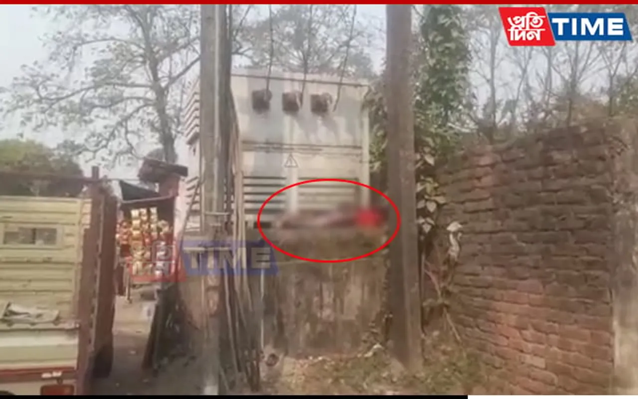 Assam: Two Minors Electrocuted While Trying To Pluck Jujubes