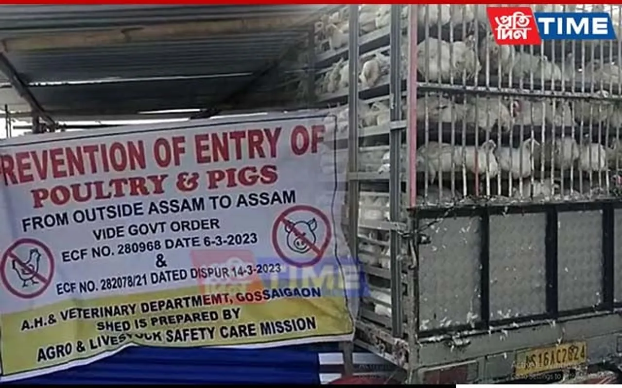 Amid Ban on Import of Poultry in Assam, Smuggling Continues Through Bengal Border
