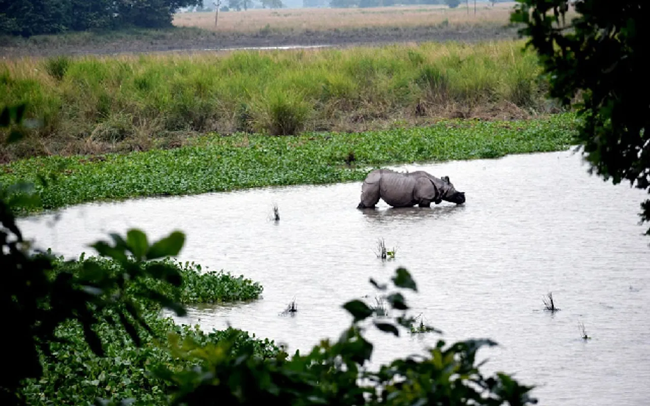 Assam: Wetlands across State Likely to Be Evicted