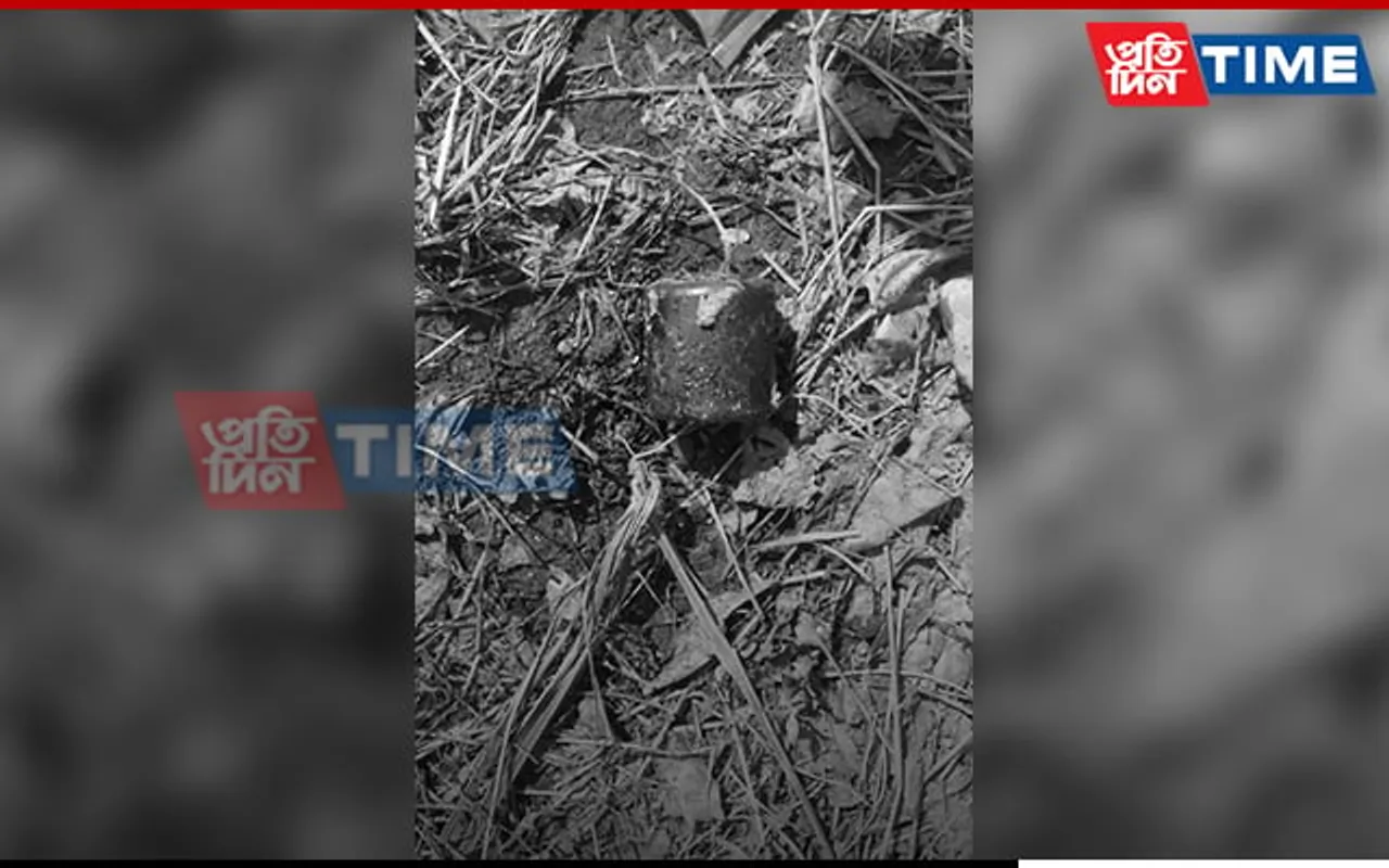 Assam: Bomb Blast Jolts Tamulpur, Livestock Killed