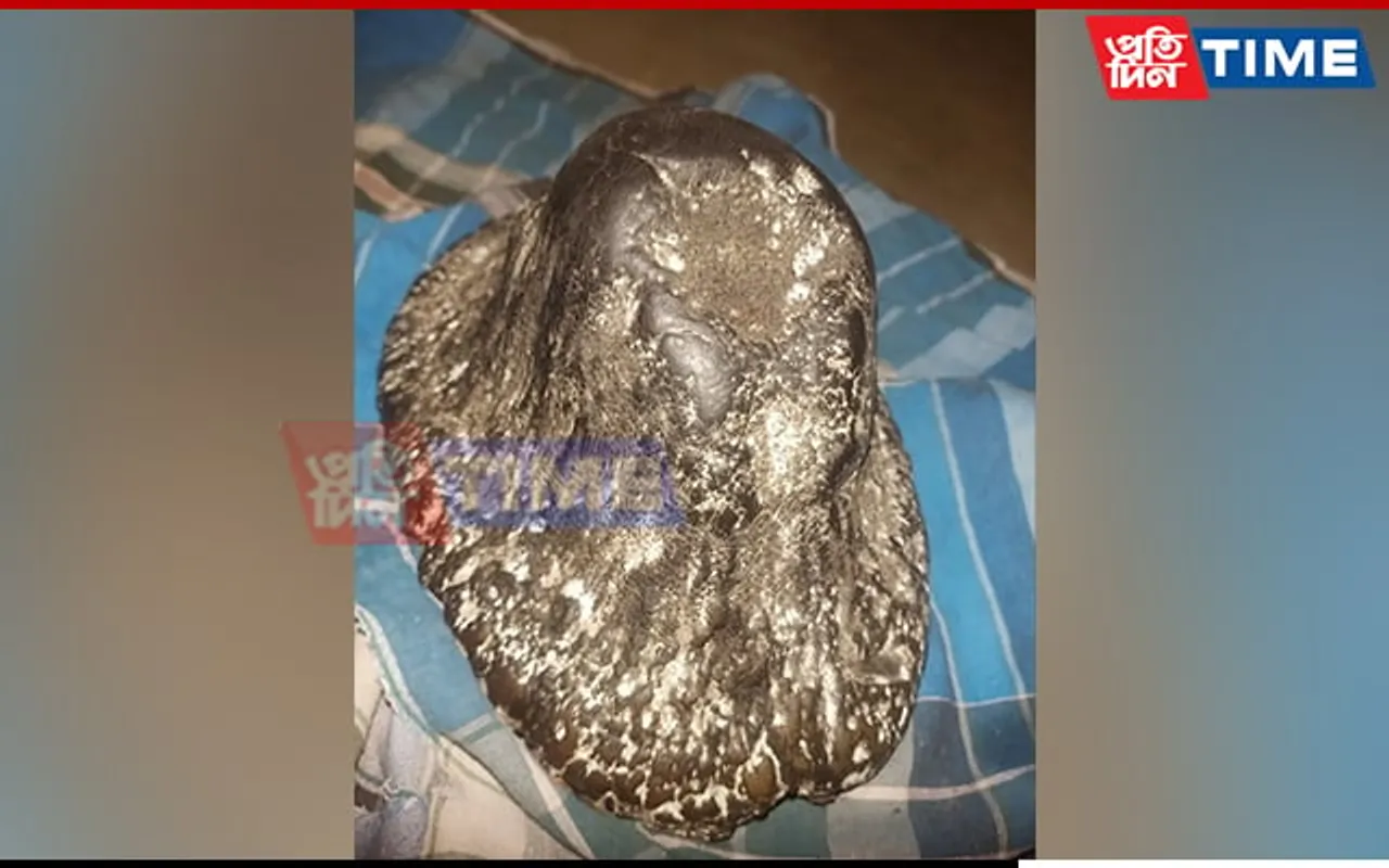 Rhino Horn Seized in Assam’s Nagaon, Poacher Flees from Spot