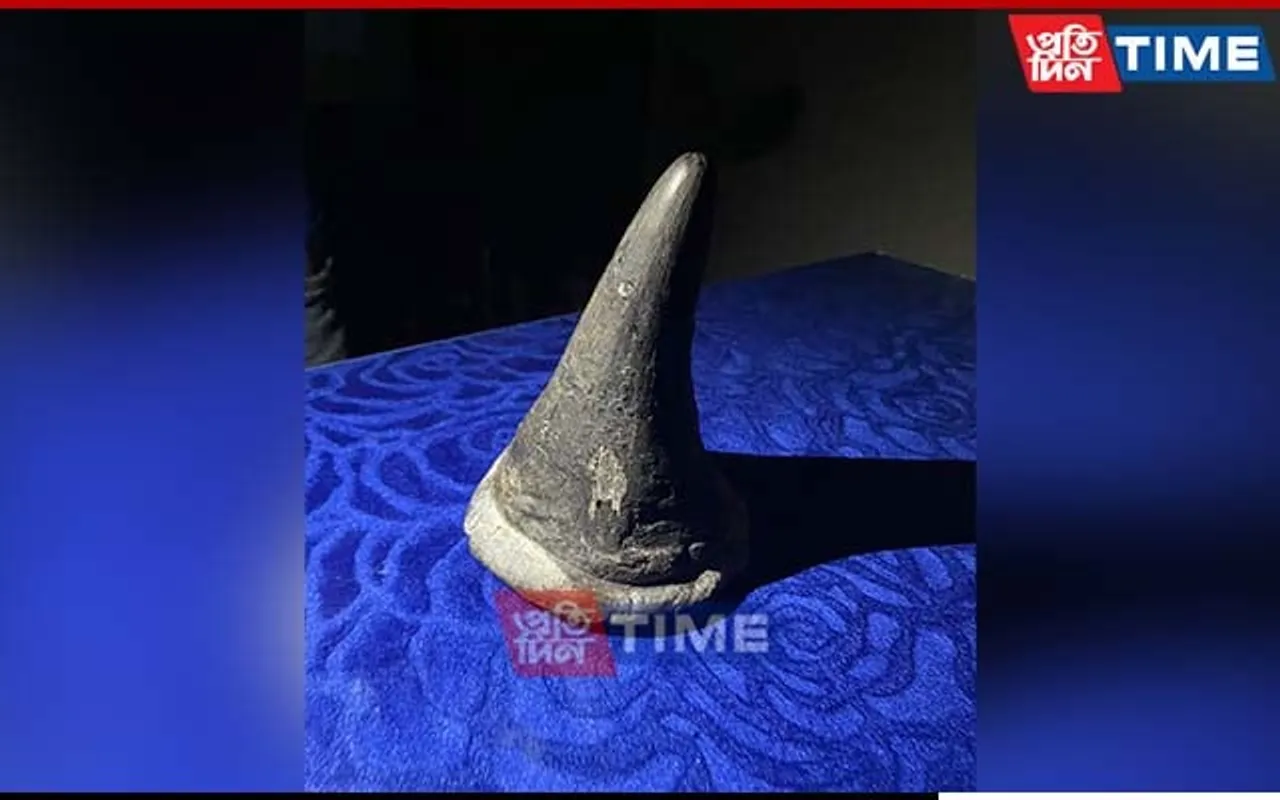 Three Poachers Held With Rhino Horn In Assam's Dhemaji