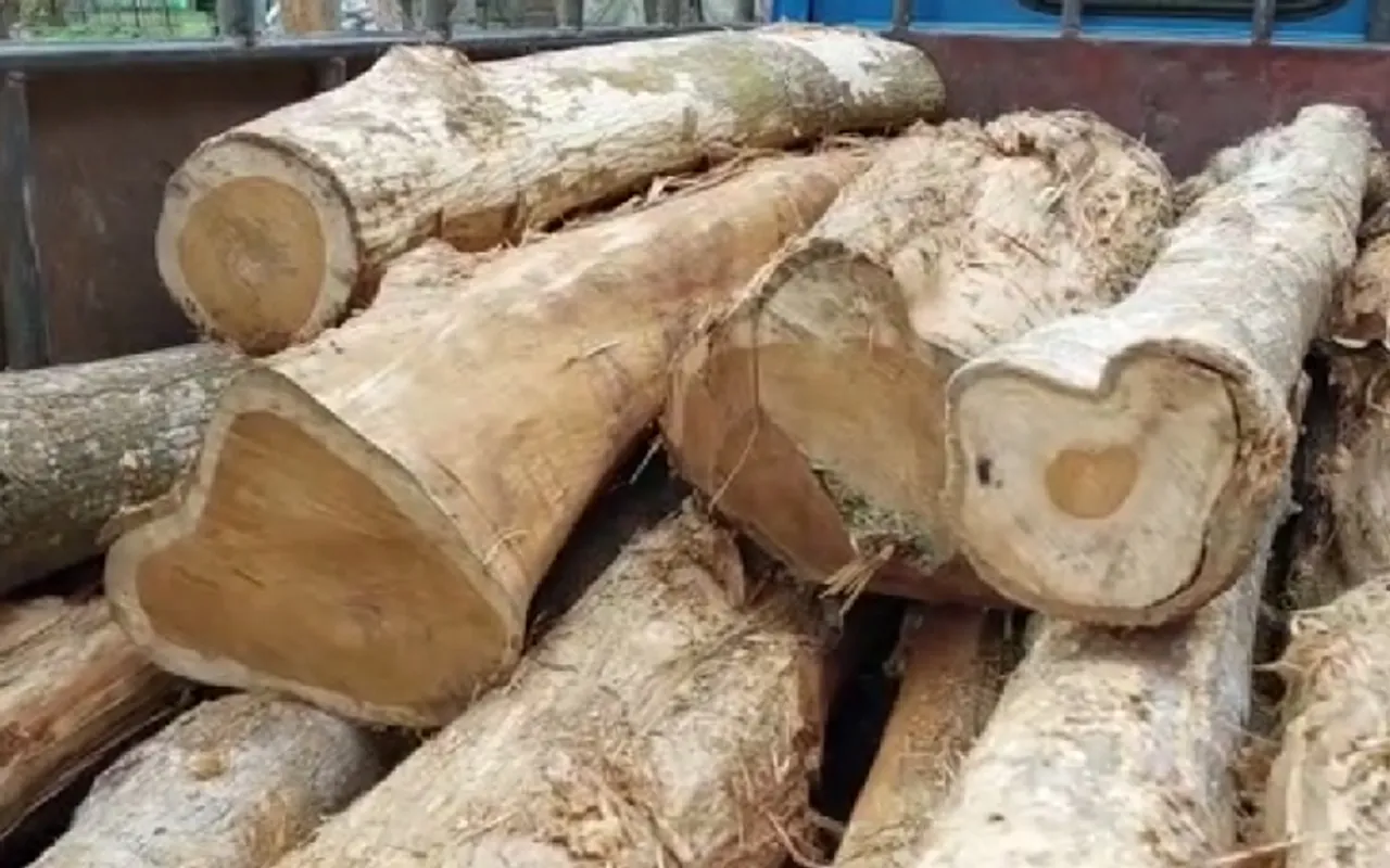 Assam: Forest Department Seizes Smuggled Timber in Goroimari