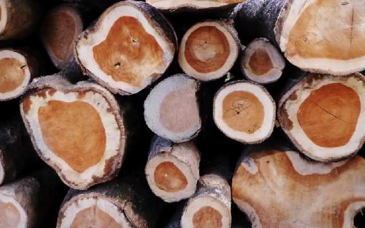 Assam: Timber-Laden Trucks Seized in Sarthebari