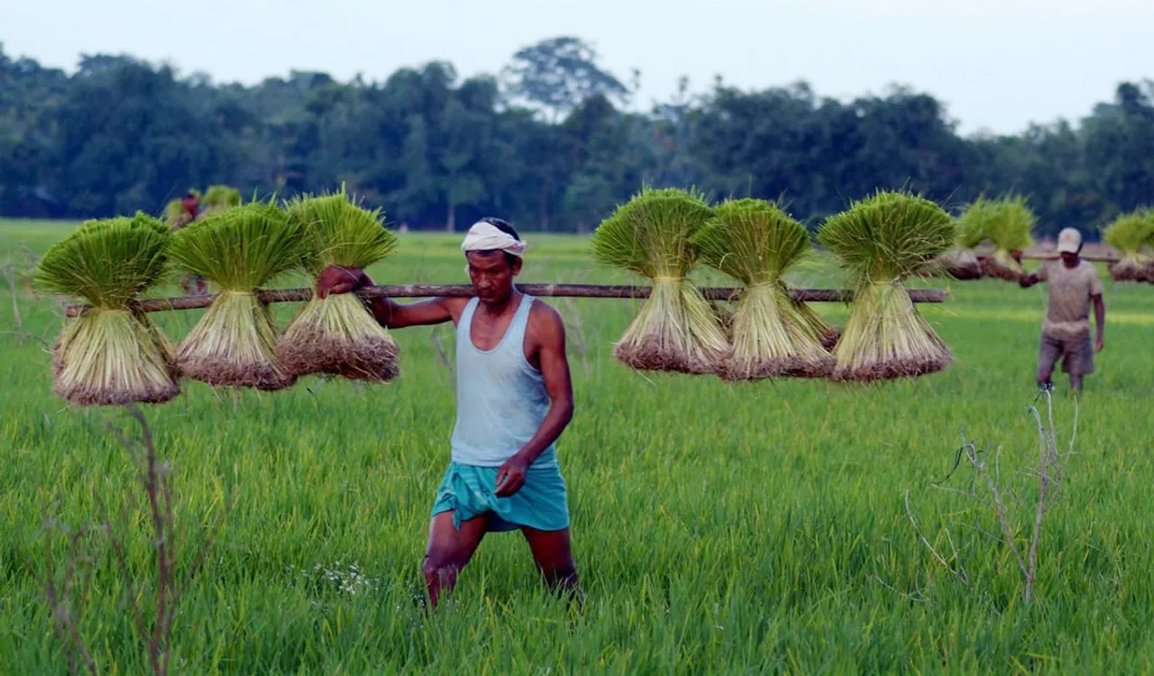 NE Farmers, Entrepreneurs Witnessing Income Growth From Govt Initiatives: Report