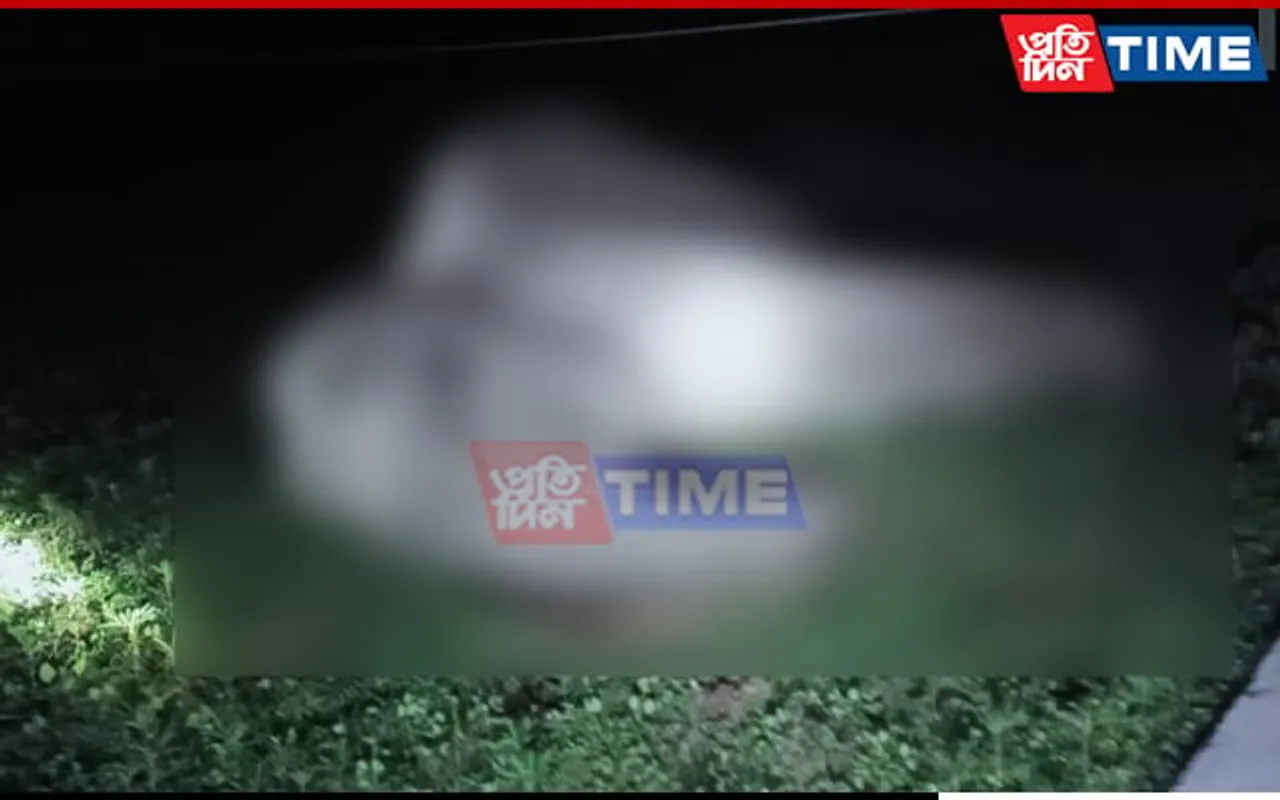 Assam: Jumbo Electrocuted to Death in Kampur