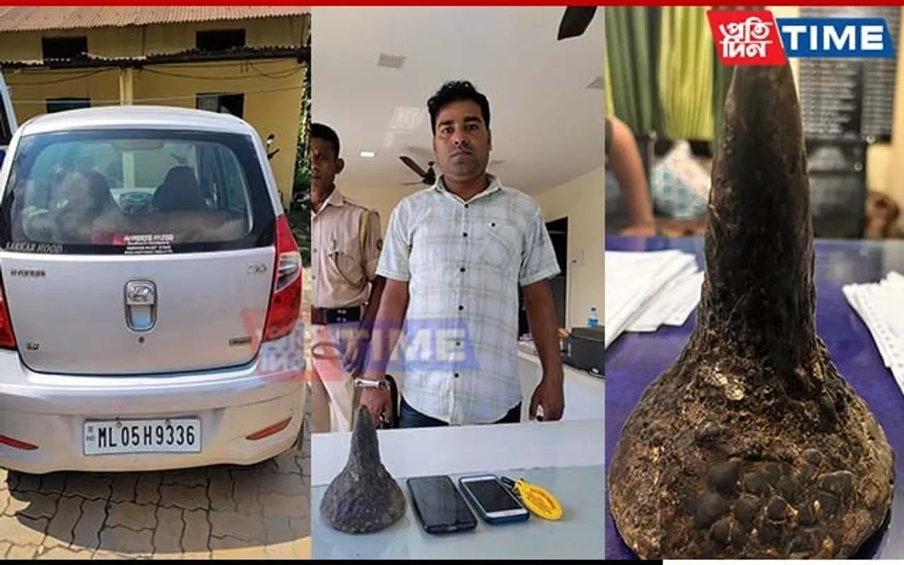 Suspected Poacher Held with Rhino 'Horn' in Assam’s Rangia