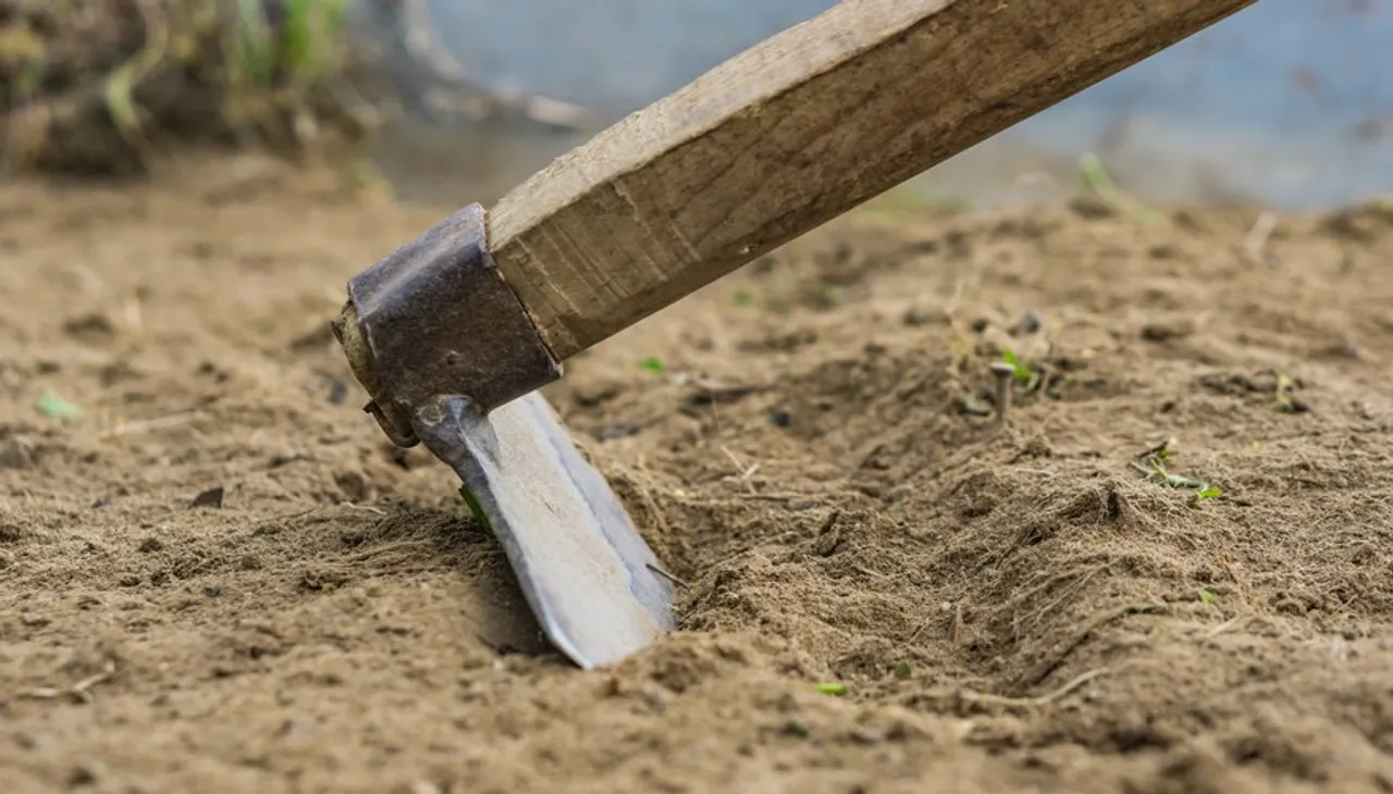 Assam: Man Hacks Father to Death with Ploughing Tool in Baksa