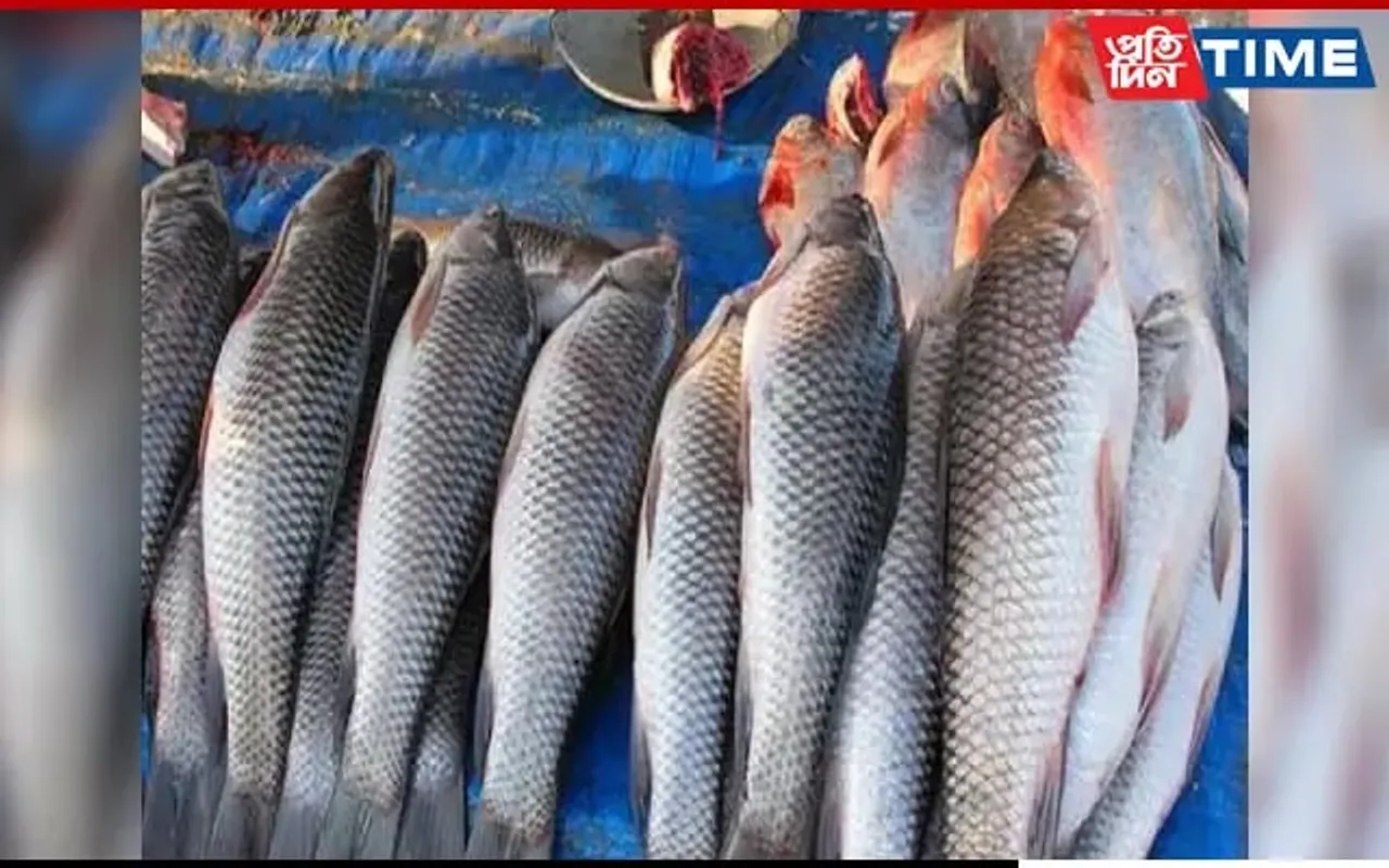 Meghalaya Govt Bans Sale of Imported Fish for 15 Days