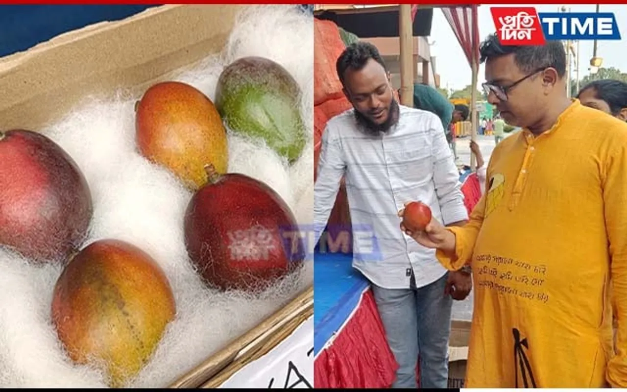World's Most Expensive Mango 'Miyazaki' Cost Around Rs 2.75 Lakh per Kg