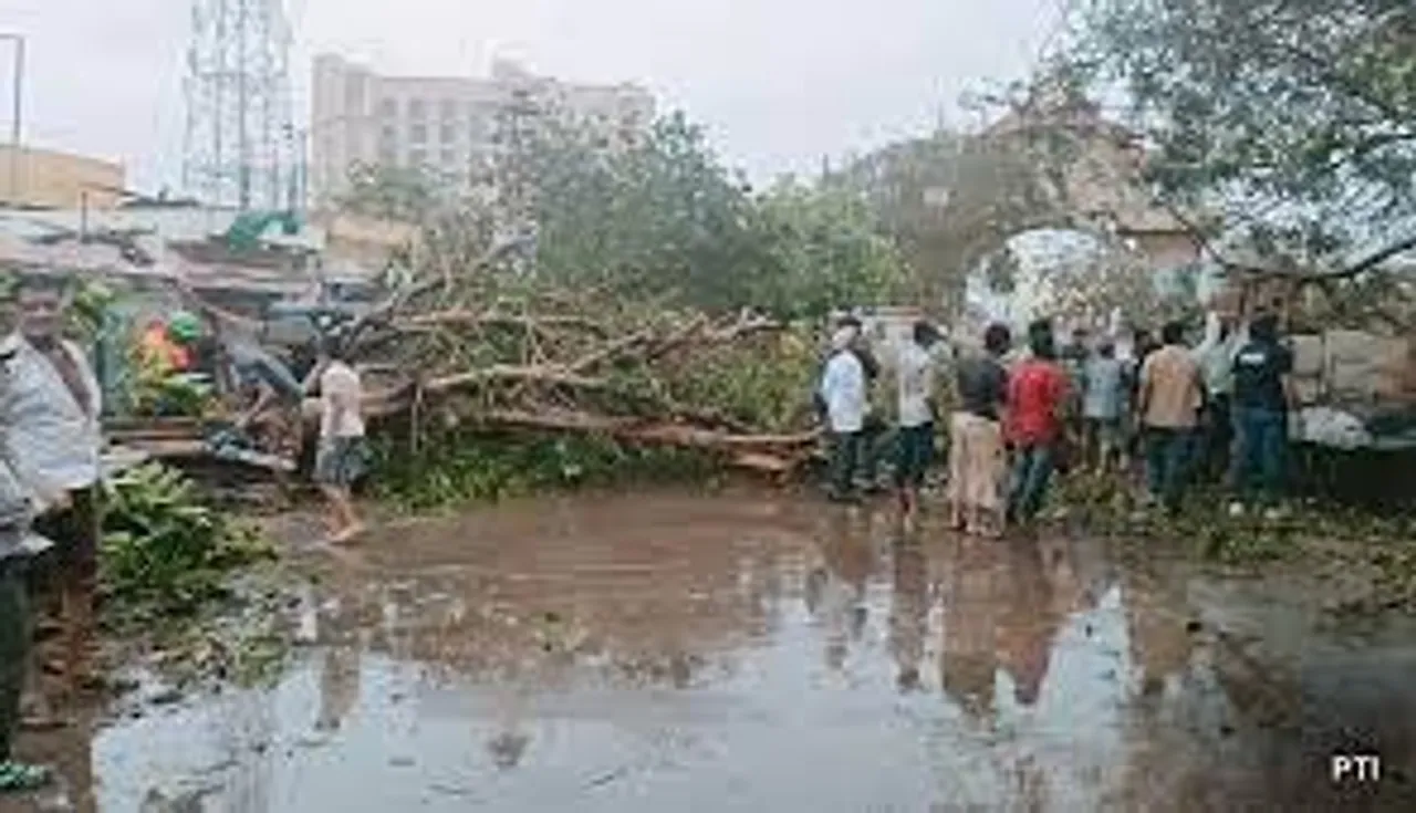 Cyclone Biparjoy: 2 Killed, 23 Injured, Trees Uprooted in Gujarat’s Kutch