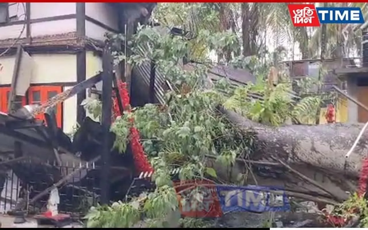 Guwahati: Tree Uproots, Crushes 50-Year-Old Temple in Basistha