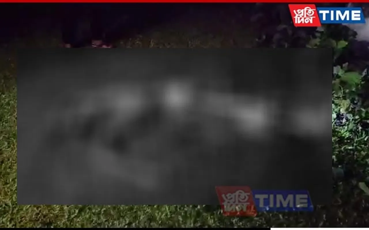 Assam: 85-Year-Old Woman Savagely Crushed To Death By Herd of Tuskers