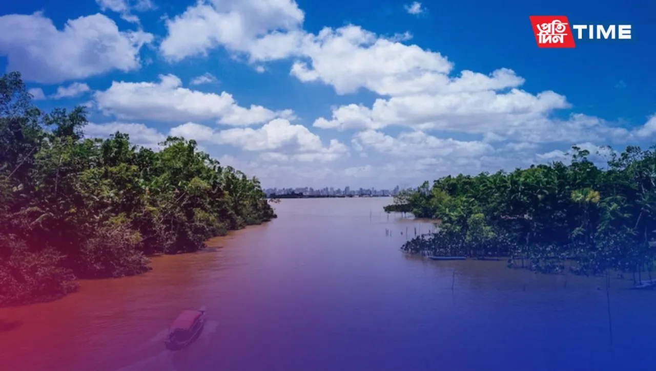 Mangroves of India: Guardians of Coastal Biodiversity and Livelihoods