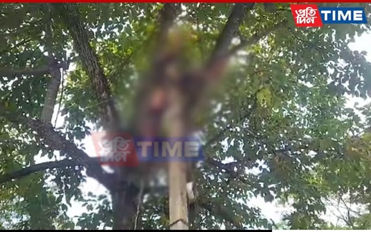 Assam: Youth Dies Of Electrocution; Body Left Dangling From Pole For an Hour