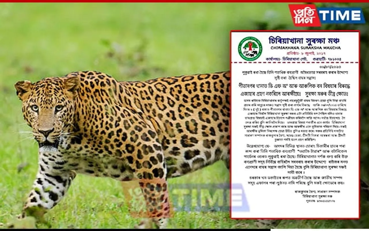 Guwahati: FIR Against DFO for Allegedly Fabricating Incident of Leopard Wandering 