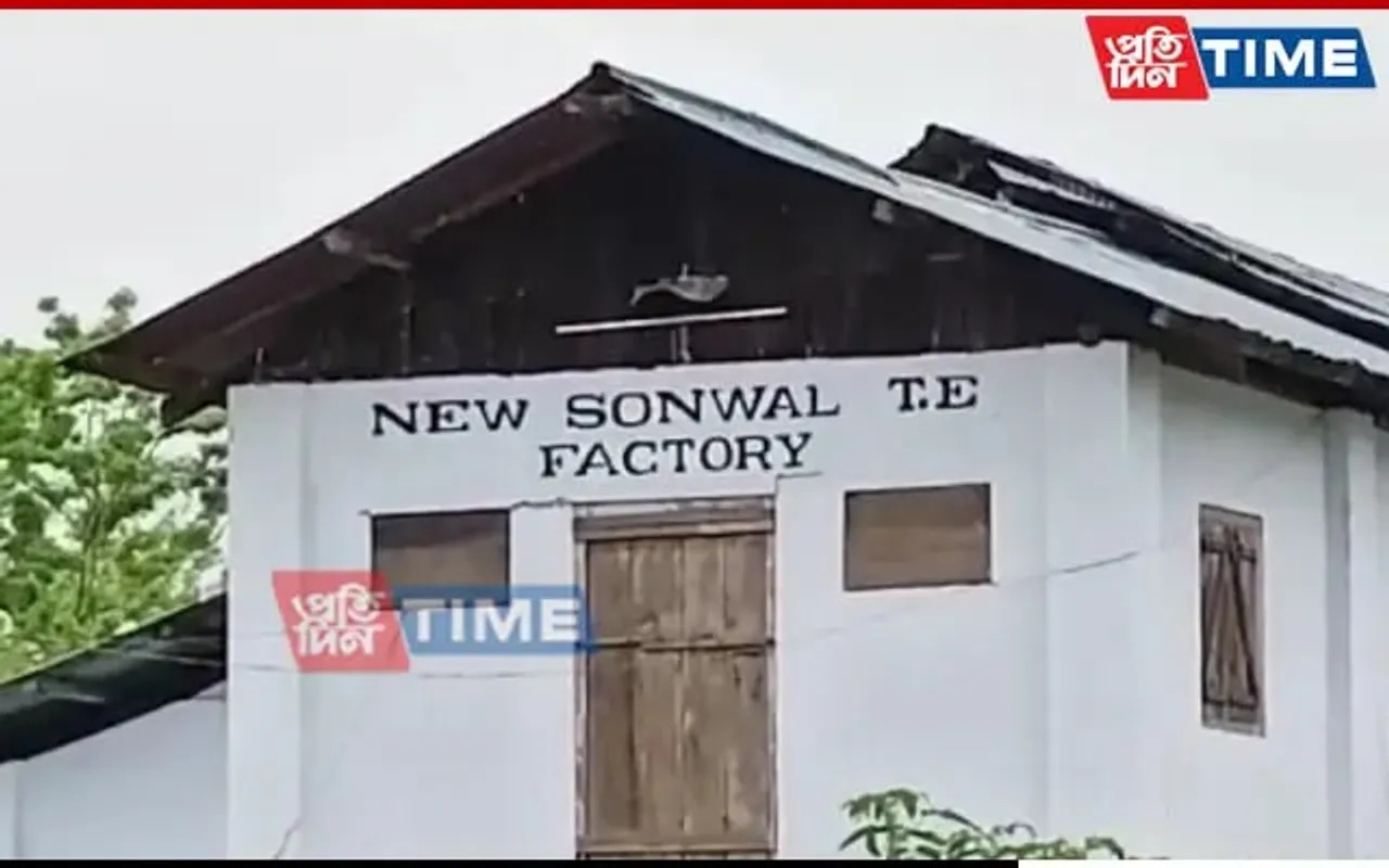 Assam: Tea Estate Worker Loses Leg After Accidentally Entering Machine