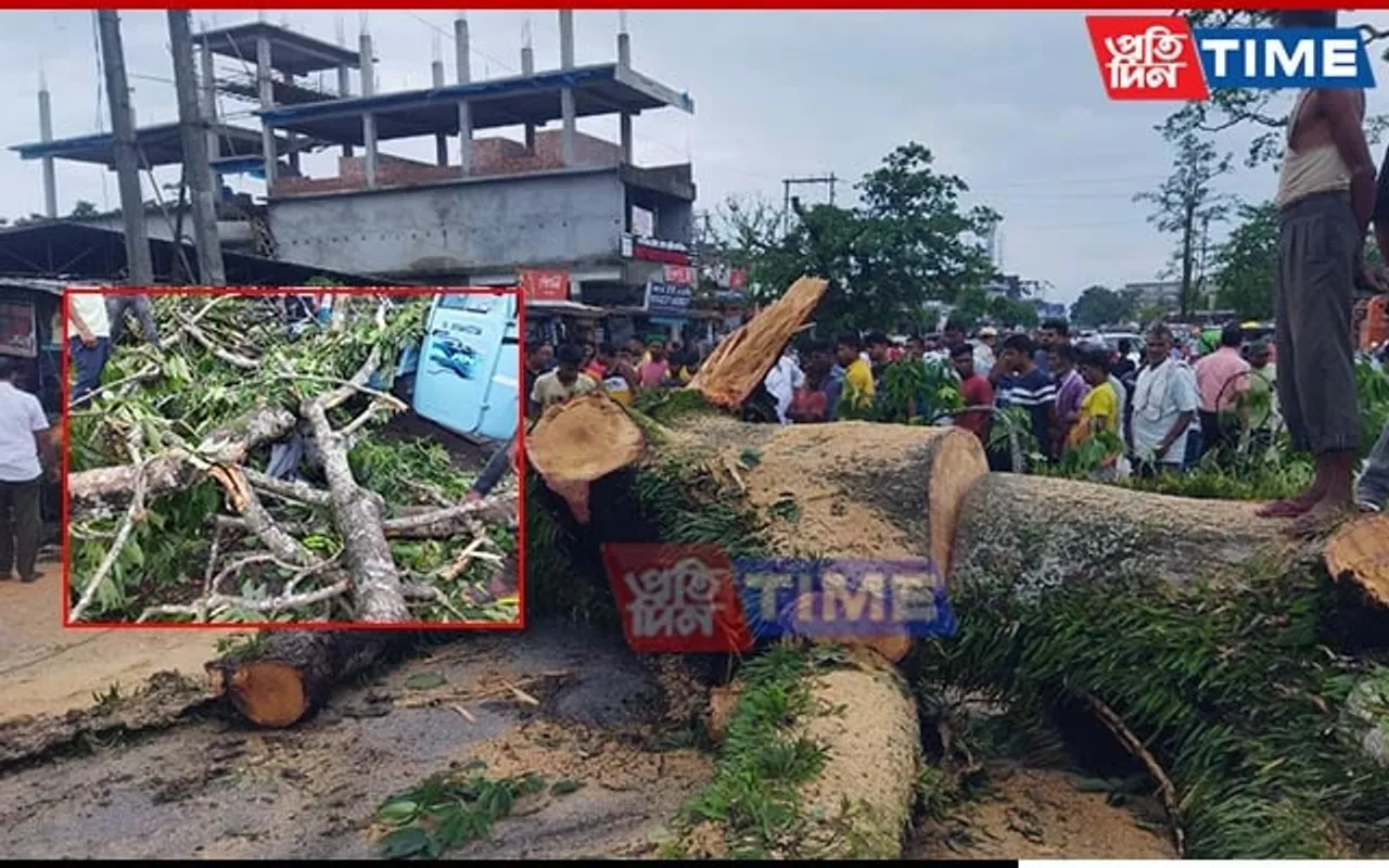 Assam: Huge Tree Falls On Road In Lakhimpur; Vehicles Pinned, Several Injured