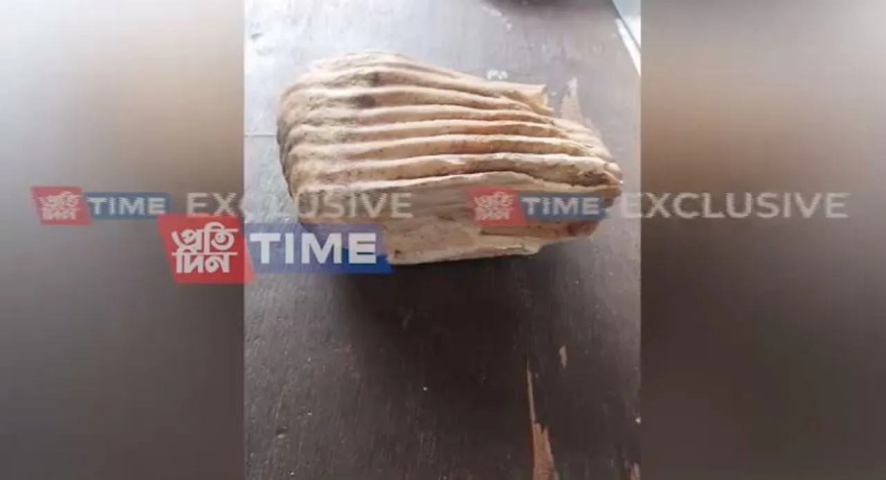 Guwahati: Elephant Tooth Seized at Kamakhya Railway Station