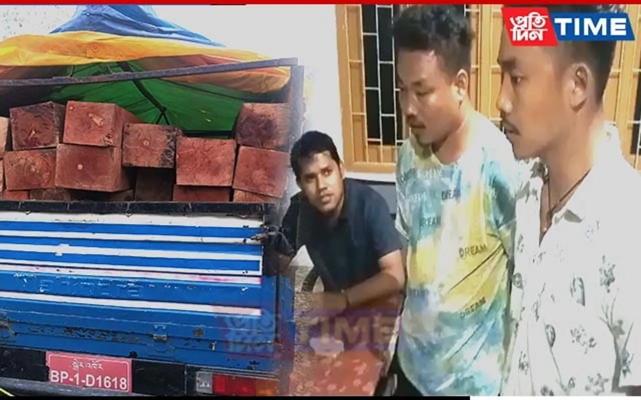 Assam: 2 Bhutan Nationals Caught Smuggling Timber In Chirang