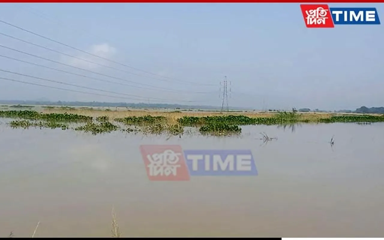 Houses Submerged in Assam’s Morigaon as Brahmaputra’s Water Level Rises