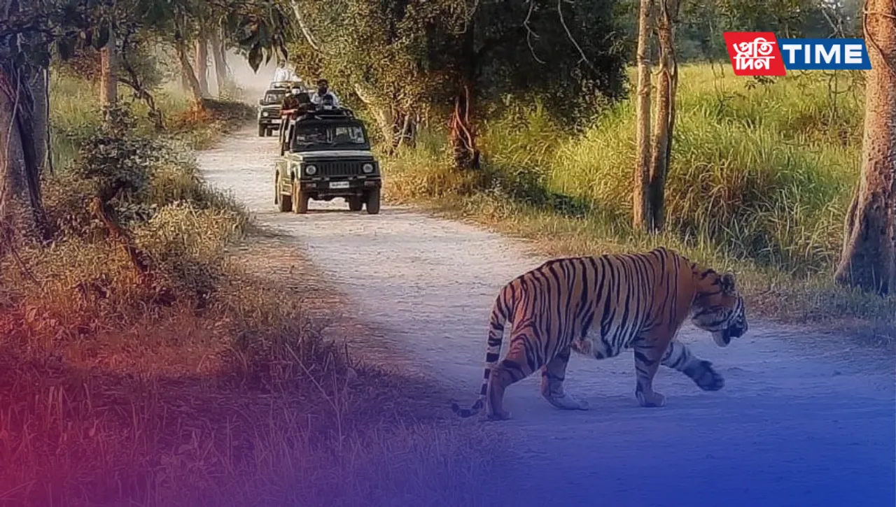 Kaziranga National Park and Tiger Reserve