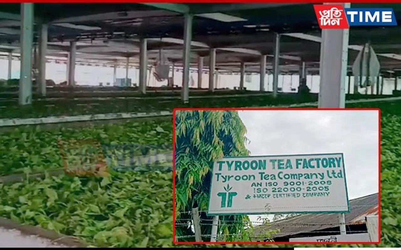 Labourer Grievously Injured While Working at Tea Factory in Assam’s Jorhat